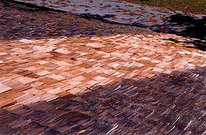 restored shake roof