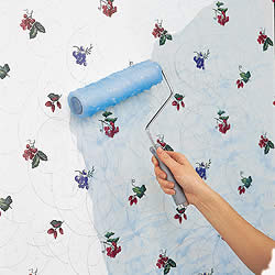 Wallpaper, Wallpaper Removal