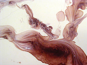 Epoxy Coatings