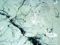 Epoxy Coatings