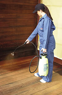 Sealing Decks