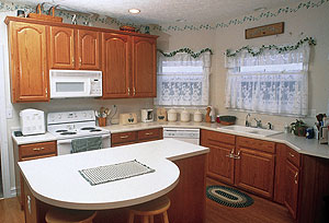 kitchen cabinets