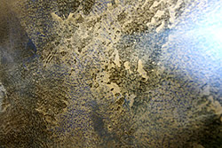 Majestic Blue Shimmer Wall Finish - Step 6